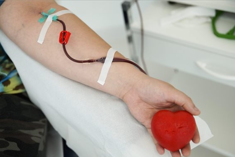 Vöröskereszt: Magyarországon mintegy 300 ezren rendszeresen adnak vért