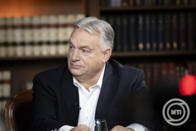 Orbán Viktor: Személyes kedvencem a Vadhajtások