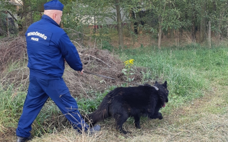 Simán lebuktatta a betörőt a rendőrkutya